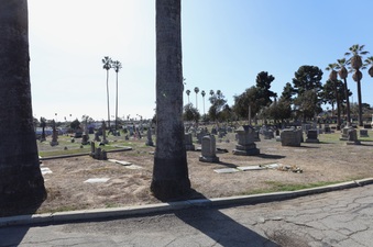 Enlarge photo 29