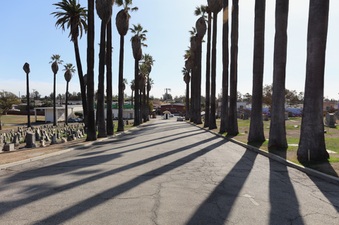 Enlarge photo 31