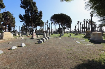 Enlarge photo 33