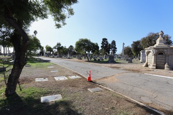 Enlarge photo 34