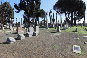 Enlarge photo 35