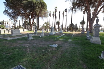 Enlarge photo 37