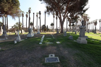 Enlarge photo 38