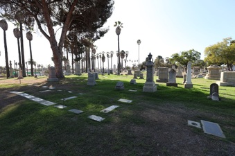 Enlarge photo 39
