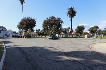 Enlarge photo 42