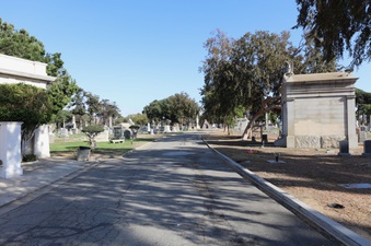 Enlarge photo 43