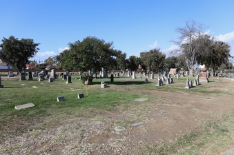Enlarge photo 44