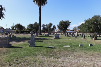 Enlarge photo 45