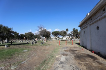 Enlarge photo 46