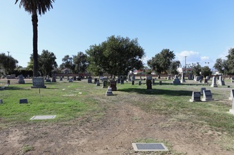 Enlarge photo 47