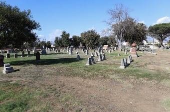 Enlarge photo 50