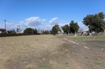 Enlarge photo 53