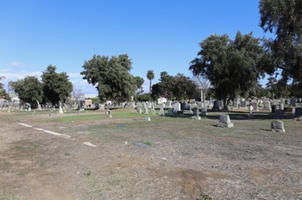 Enlarge photo 54