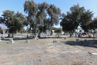 Enlarge photo 55