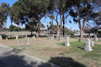 Enlarge photo 62