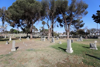 Enlarge photo 64