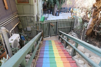 Enlarge photo 57