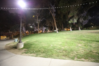 Enlarge photo 10