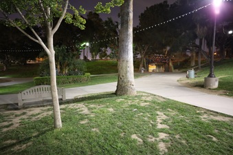 Enlarge photo 17