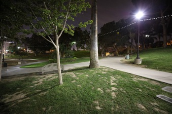 Enlarge photo 18