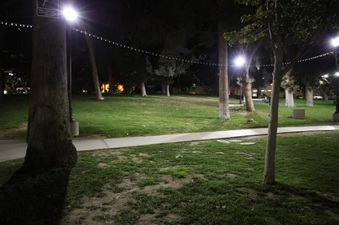 Enlarge photo 24