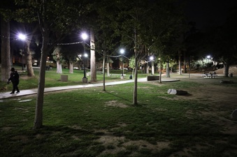 Enlarge photo 25