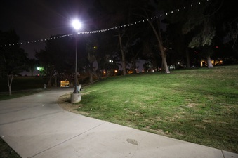 Enlarge photo 33