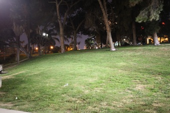 Enlarge photo 34
