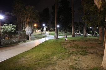 Enlarge photo 31