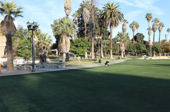 Enlarge photo 20