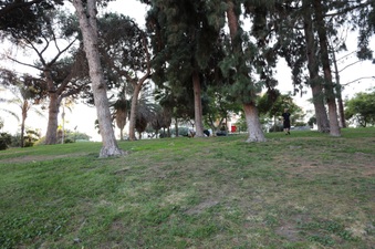 Enlarge photo 38