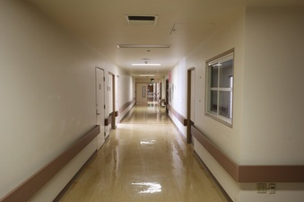 Enlarge photo 51