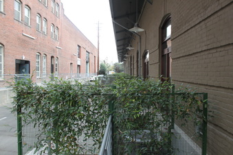 Enlarge photo 19