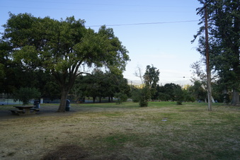 Enlarge photo 2