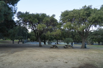Enlarge photo 3