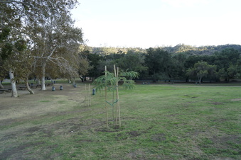 Enlarge photo 6