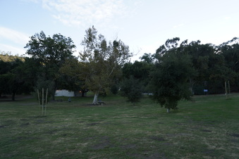 Enlarge photo 16