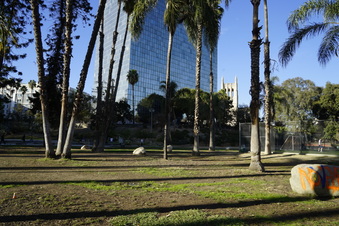 Enlarge photo 10