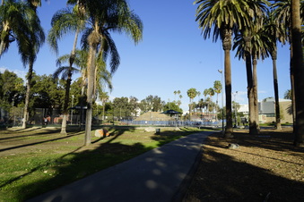 Enlarge photo 15