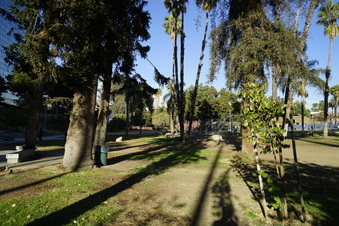 Enlarge photo 17