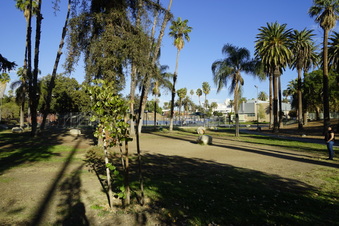 Enlarge photo 18