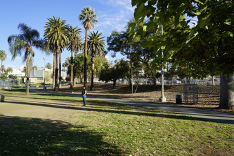 Enlarge photo 19