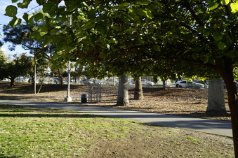 Enlarge photo 20