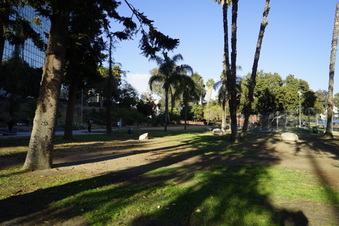 Enlarge photo 21