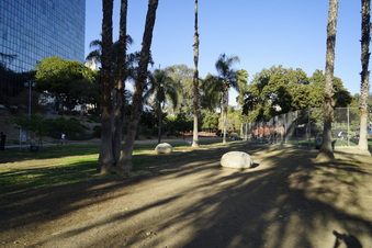 Enlarge photo 23