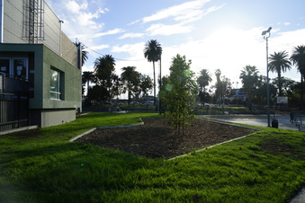 Enlarge photo 27
