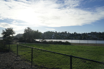 Silver Lake Meadow