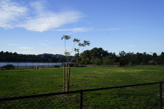 Enlarge photo 3