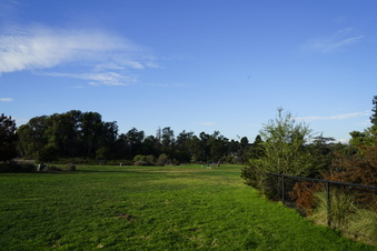 Enlarge photo 13