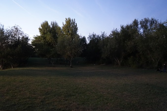 Enlarge photo 8